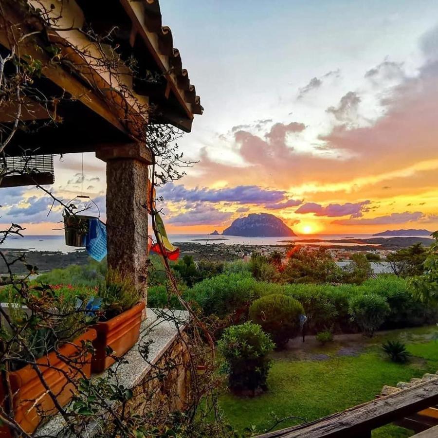 Villa Acchiappasogni Porto San Paolo  Εξωτερικό φωτογραφία